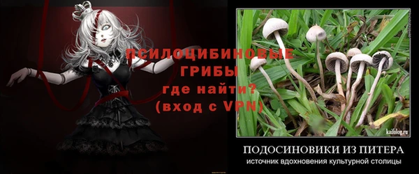 spice Армянск