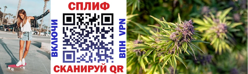 Купить где  Болохово  Марихуана OG Kush 
